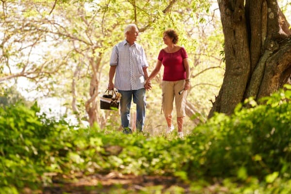 Older man and woman holding hands walking in the woods with a picnic basket, clinical research